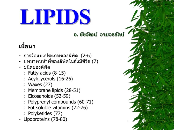 lipids