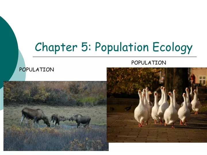 chapter 5 population ecology