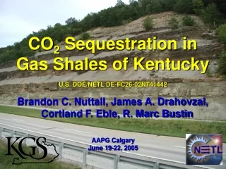 CO 2  Sequestration in Gas Shales of Kentucky