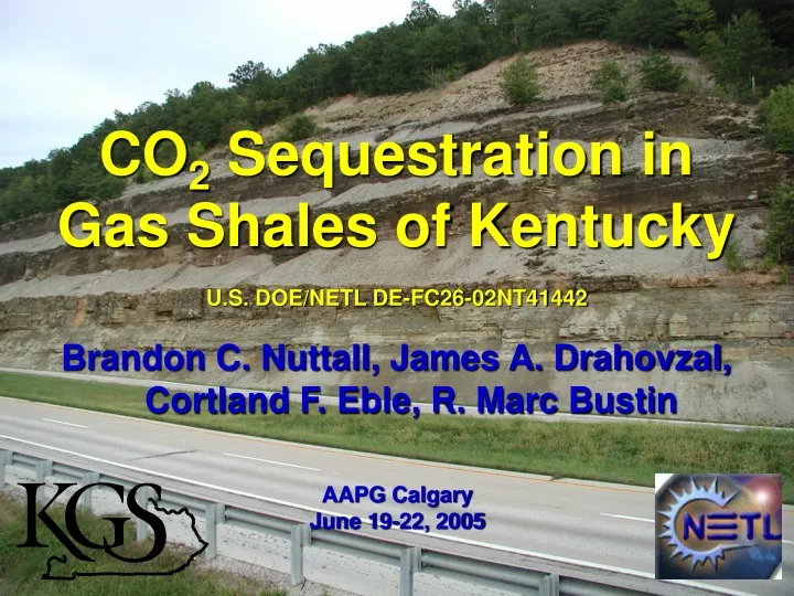 co 2 sequestration in gas shales of kentucky
