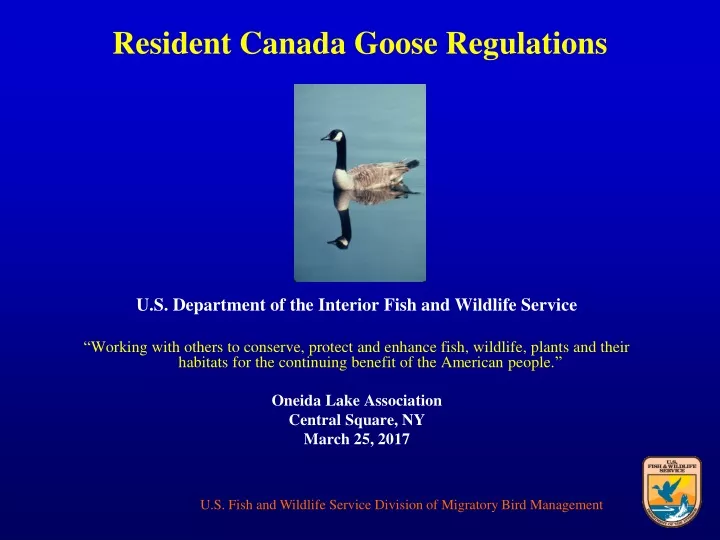 resident canada goose regulations