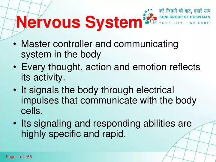 nervous system