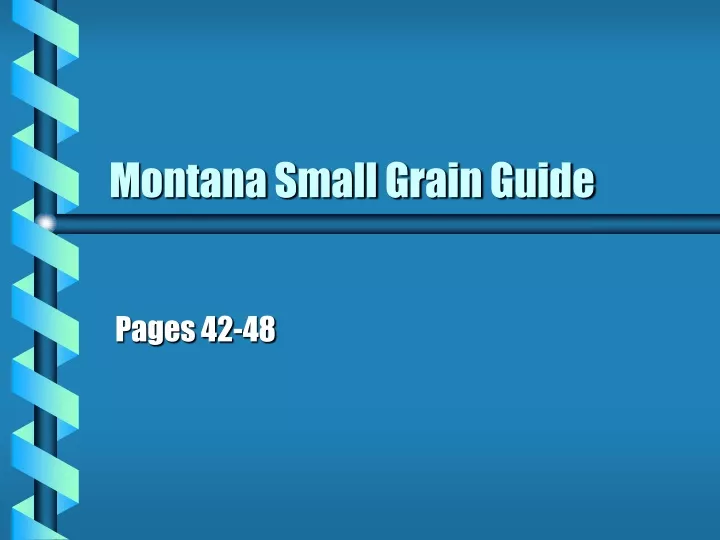 montana small grain guide