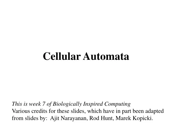 cellular automata