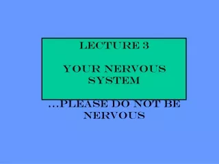 Lecture 3 YOUR NERVOUS SYSTEM …please do not be nervous