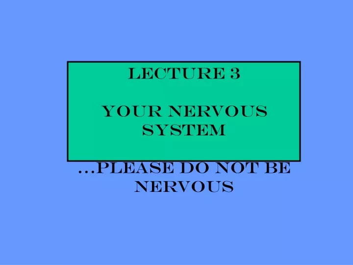 lecture 3 your nervous system please