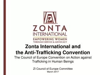 ZI Council of Europe Committee March 2017