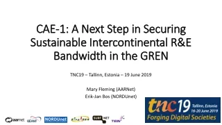 CAE-1: A Next Step in Securing Sustainable Intercontinental R&amp;E Bandwidth in the GREN