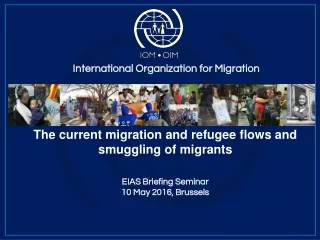The current migration and refugee flows and smuggling of migrants EIAS Briefing Seminar