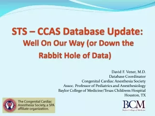 STS – CCAS Database Update:  Well On Our Way (or Down the Rabbit Hole of Data)