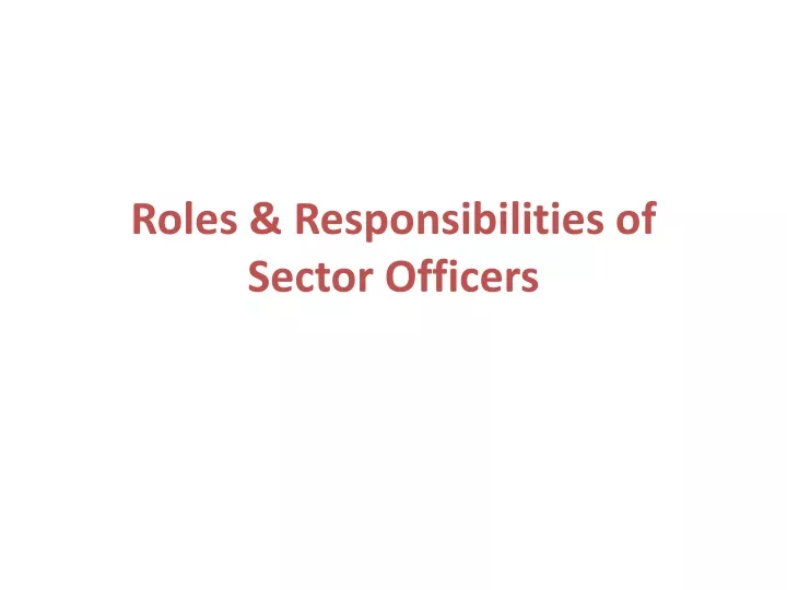 roles responsibilities of sector officers