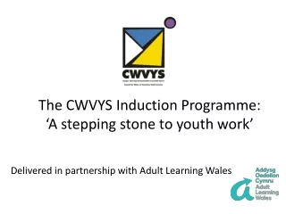 The CWVYS Induction Programme: ‘A stepping stone to youth work’