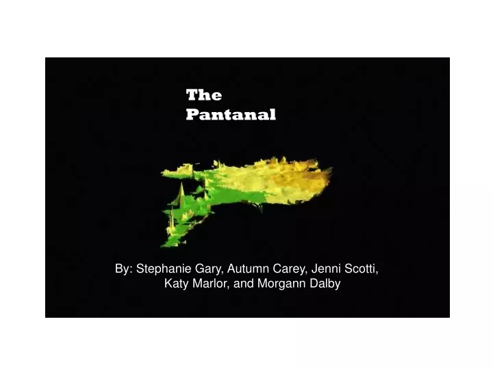the pantanal