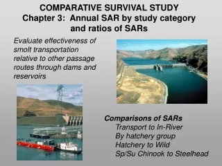COMPARATIVE SURVIVAL STUDY  Chapter 3:  Annual SAR by study category  and ratios of SARs