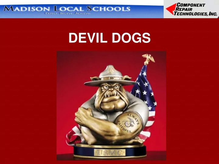 devil dogs