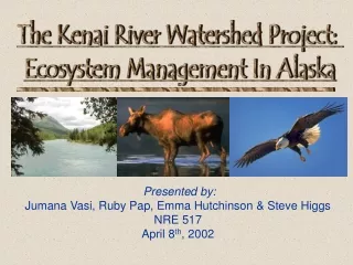 Presented by: Jumana Vasi, Ruby Pap, Emma Hutchinson &amp; Steve Higgs NRE 517 April 8 th , 2002