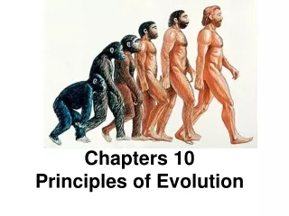 Chapters 10 Principles of Evolution