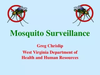 Mosquito Surveillance