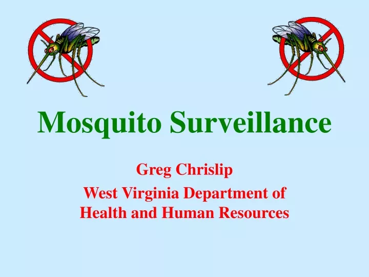 mosquito surveillance