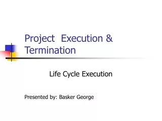 Project  Execution &amp; Termination