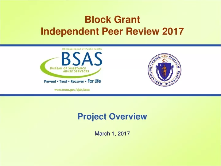 block grant independent peer review 2017