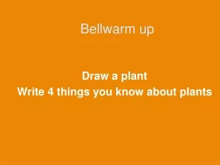 Bellwarm up