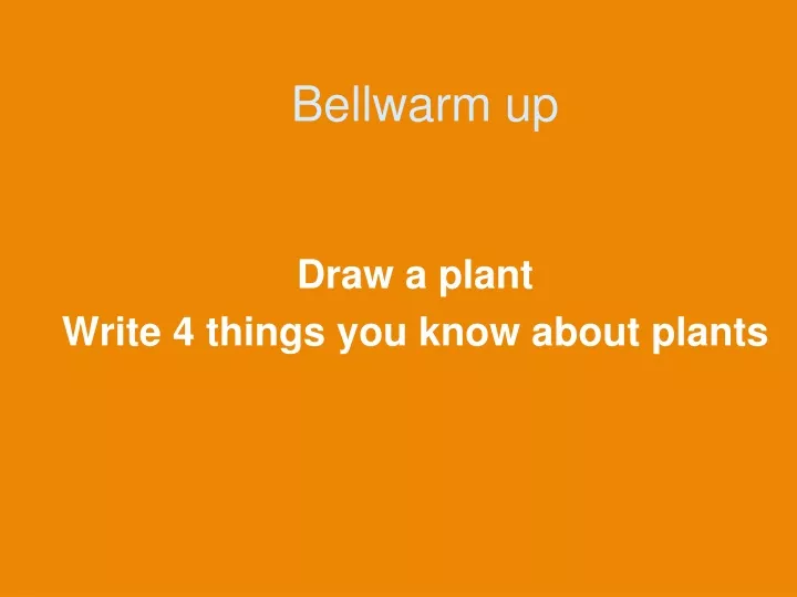 bellwarm up