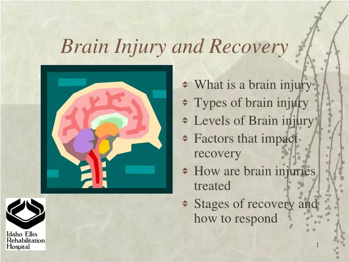 brain injury and recovery