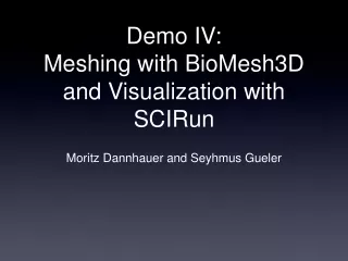 Demo IV:  Meshing with BioMesh3D and Visualization with SCIRun