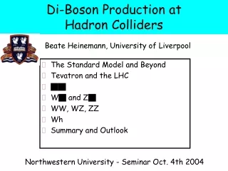 Di-Boson Production at  Hadron Colliders