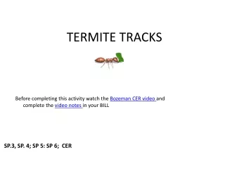 TERMITE TRACKS