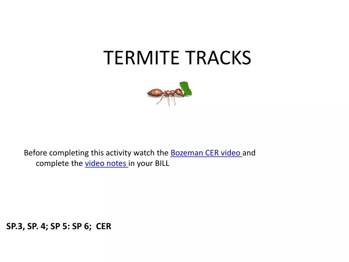 termite tracks