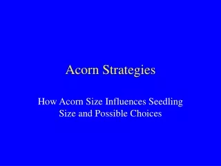 Acorn Strategies