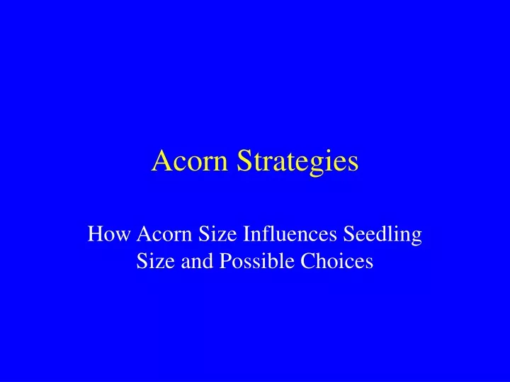 acorn strategies