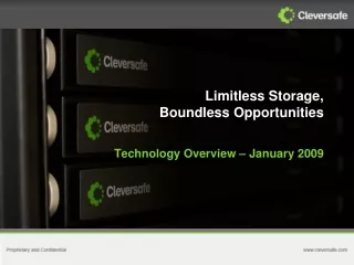 Limitless Storage,  Boundless Opportunities