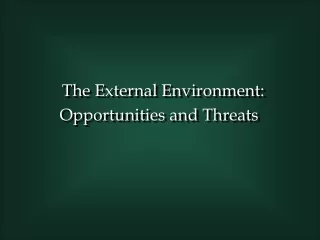 The External Environment: Opportunities and Threats