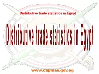 Distributive trade statistics in Egypt