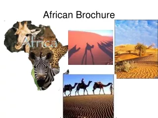 African Brochure