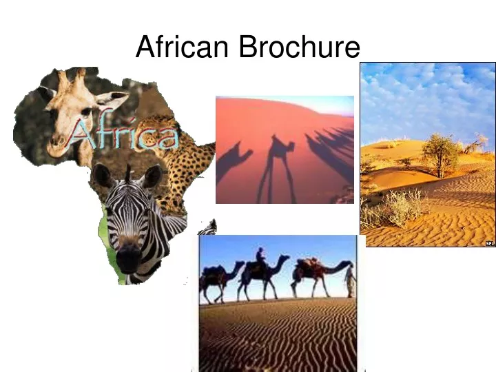 african brochure