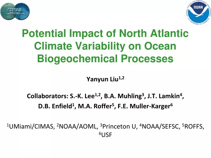 potential impact of north atlantic climate variability on ocean biogeochemical processes
