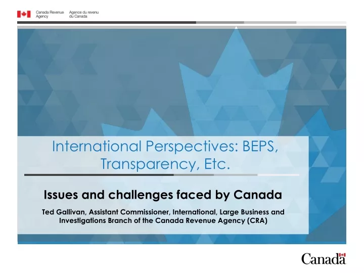 international perspectives beps transparency etc