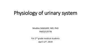 Physiology of urinary system