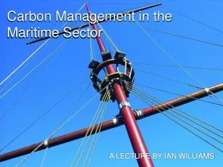 Carbon Management in the Maritime Sector