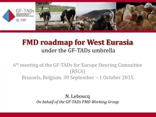 FMD roadmap for West Eurasia  under the GF-TADs umbrella