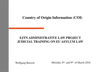 Country of Origin Information (COI)