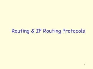 Routing &amp; IP Routing Protocols