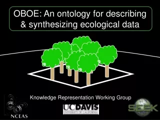 OBOE: An ontology for describing &amp; synthesizing ecological data