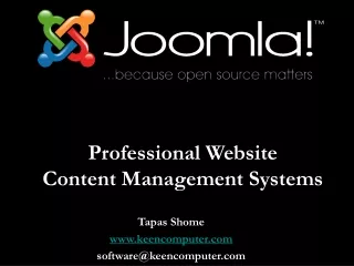 Professional Website  Content Management Systems
