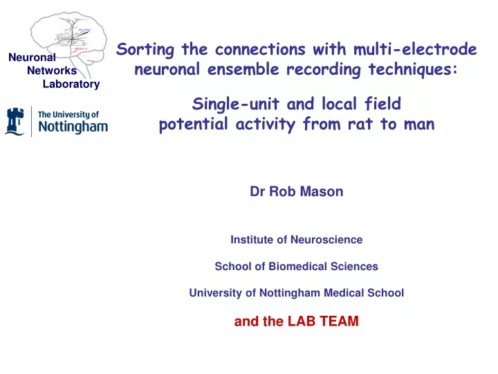 neuronal networks laboratory