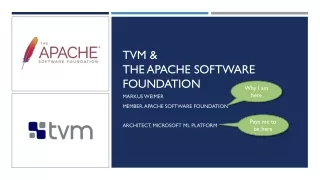 TVM &amp; the Apache Software Foundation